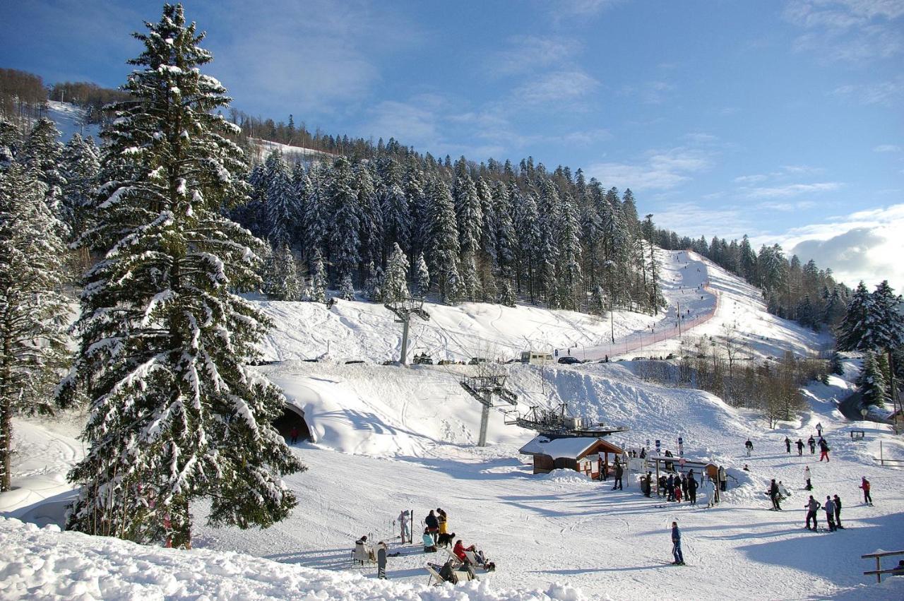 La Ferme Du Douanier & Spa 5 Etoiles All Inclusive Ventron Exteriör bild